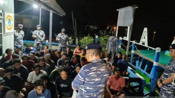 TNI AL Troops Arrest Crew Of 8 Coal Thief Motor Boats In East Kalimantan