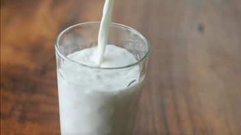 The Benefits Are More Optimal, These Are The Rules For Drinking Etawa Goat Milk That Must Be Followed