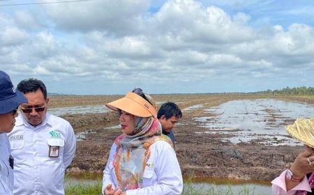 Kementan Dorong Generasi Milenial Bangun Pertanian Modern