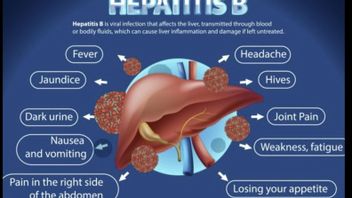 Kemenkes: Hepatitis B Didominasi Transmisi dari Ibu ke Anak