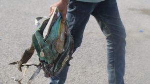 Salahkan Antek Israel di Washington Pemicu Perang, Iran Pastikan Tak Bahayakan Sipil AS