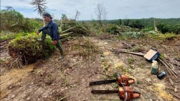 Polda Riau Tangani Laporan Perusakan Pos Satgas TNTN: Proses Hukum Sedang Berjalan