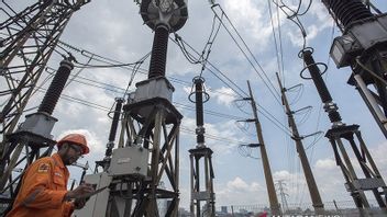 PLN Invites Five Private Companies To Build Electricity To Downstream Industry