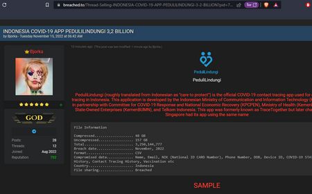 Bjorka Berulah Lagi, Sekarang Bocorkan 3,2 Miliar Data Pengguna PeduliLindungi