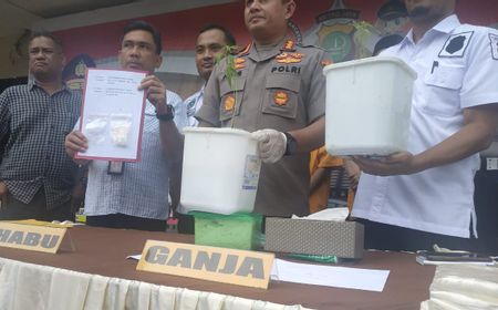 Penanam Ganja di Tangerang Selatan Ditangkap Polisi