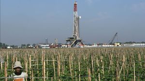 Pemerintah Dorong Penguatan Industri Hulu untuk Percepat Transformasi Industri Nasional
