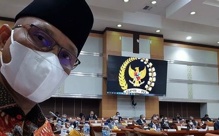 Data Kementerian Dibobol Hacker 'Mustang Panda', DPR: Ini Harus Jadi Perhatian Serius Pemerintah