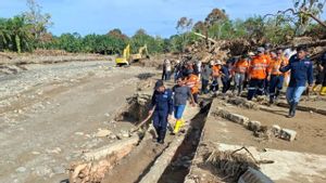 Menteri LH: Kayu Terseret Banjir Merupakan Kombinasi Pohon Tumbang