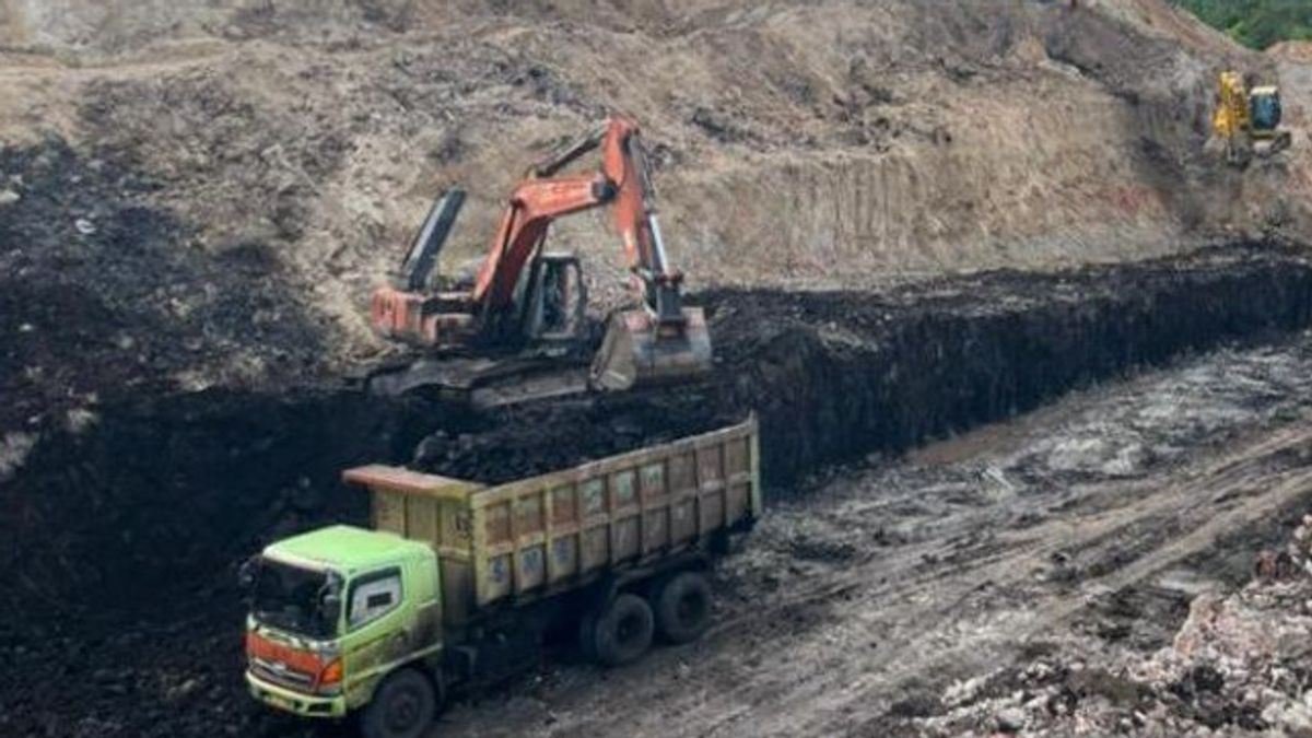 明古鲁省长要求警察局长调查侵占受保护森林的非法矿山