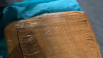 Bandar Ganja Jaringan Tanjung Priok - Bekasi Ditangkap Aparat Polsek Kelapa Gading