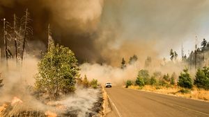 Kebakaran Hutan di Turki Meluas, Ratusan Orang di Canakkale Dievakuasi