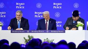 Board of Peace