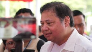 Menko Airlangga Sebut Badan Industri Mineral Fokus Kelola <i>Rare Earth</i>