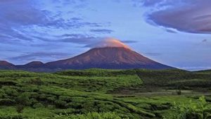 Gunung Kerinci Dipadati Pengunjung saat Libur Natal dan Tahun Baru