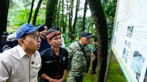 Jejak Peradaban Tua Diduga Tersembunyi di Situs Cibalay Bogor