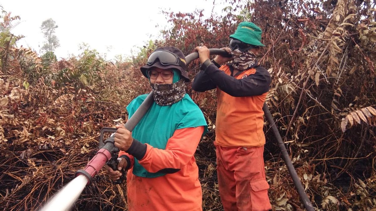 Menteri LHK: Provinsi Riau Berhasil Bebas dari Ancaman Karhutla