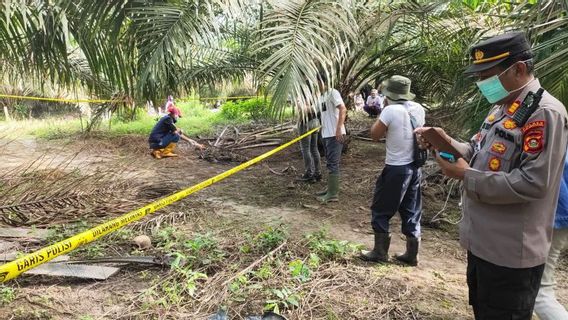 Musi Banyuasin棕油花园的人类骨架的发现被疏散到巨港的Bhayangkara医院