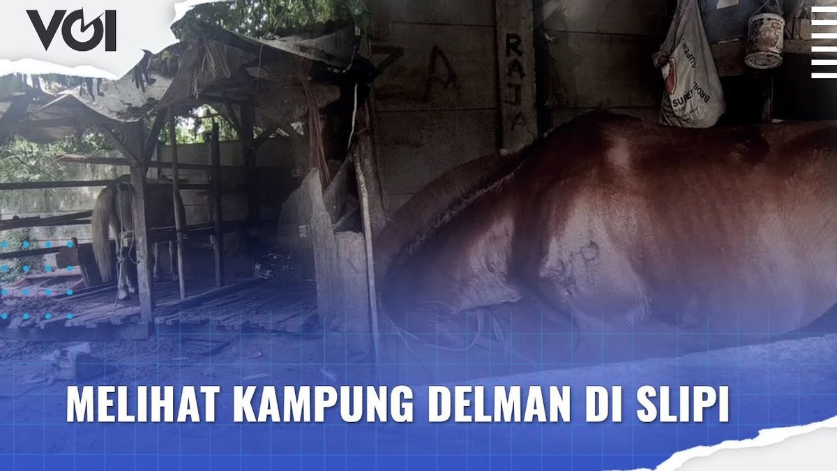 VIDEO: Melihat Kampung Delman di Slipi
