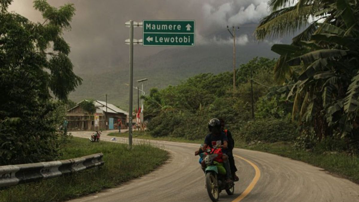 BNPB Prepares Additional Refugee Command Posts For Victims Of The Men's Mount Lewotobi Eruption