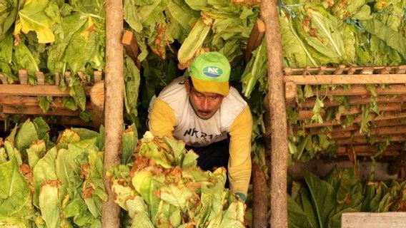 Les Agriculteurs Et Les Travailleurs Doivent à Nouveau Se Préparer à être Frappés Par La Hausse Des Taux D’imposition « Bogem »