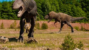 Les Dinosaures Peuvent-ils être Ramenés à La Vie Grâce à L’ADN? C’est L’opinion Des Scientifiques