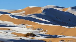 Salju Selimuti Gurun Sahara, Ini Penjelasannya