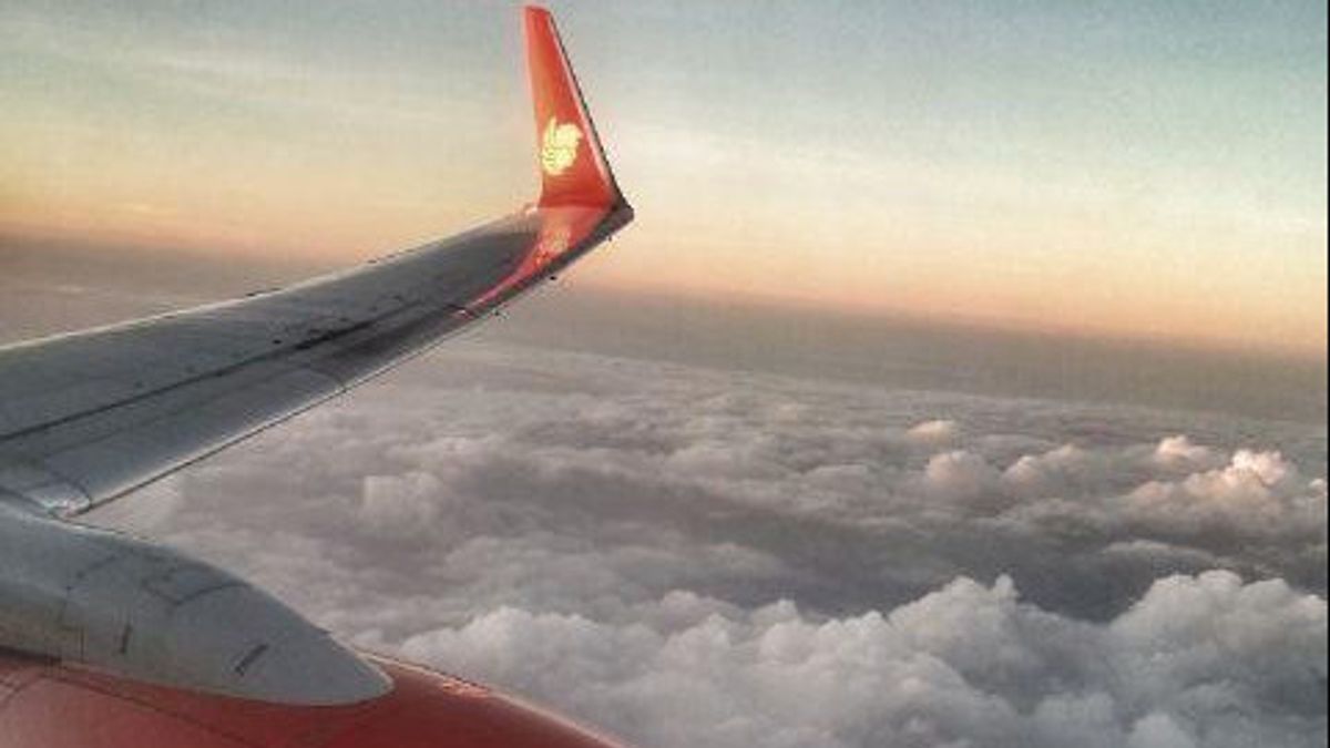 تدعي شركة Lion Air أن طائرة JT-797 تحطمت في سقف المطار في بابوا صالحة للطيران