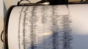 Berita Gempa Hari Ini: Bali Diguncang Gempa Berkekuatan 4,8 SR