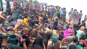 7 Imigran Terdampar di Pidie Aceh Diduga Kabur
