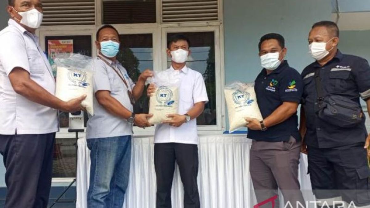 PT Timah Borong Beras Petani di Bangka Barat, Akan Dibagikan untuk Bansos Bulan Ramadan
