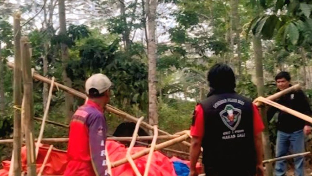 南OKU警察Gerebek Arena Sabung Ayam, 罪魁祸首 全部逃跑