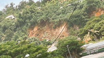 rimous dans le Vanuatu : 14 morts : six d'entre eux ont été causés par des glissements de terrain