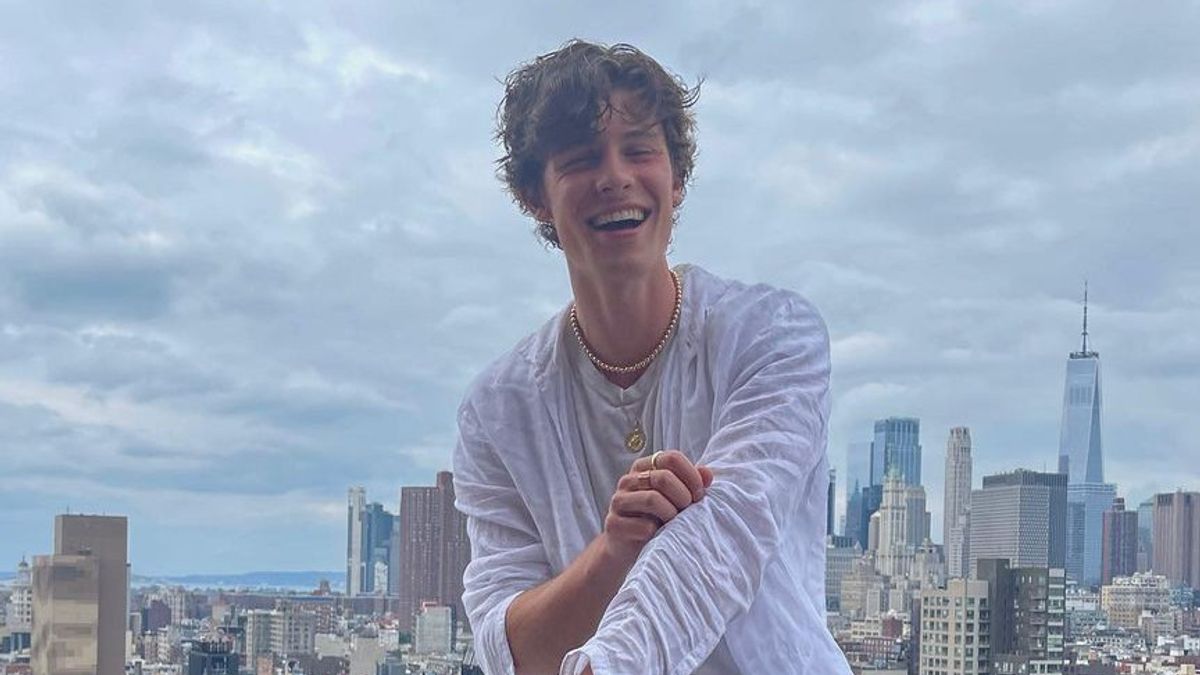Breaking Up With Camila, Shawn Mendes Finds It Difficult To Play Social Media