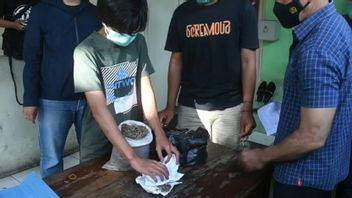 Two Ganja Dealers Claim To Have Networks From Inside Prisons In Jakarta