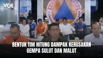 Gouvernement se mobilise, forme une équipe pour calculer les dommages causés par les séismes de Sulawesi et Maluku