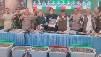 Chase the Gang of Hunting Wild Elephants, the Riau Police Name 15 Suspects, 3 Still at Large