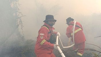 인도네시아 정부, 수마트라 호랑이 서식지에서 산불을 끄기 위해 싸움
Jakarta - Kemenhut Berjibaku Padamkan Karhutla di Habitat Harimau Sumatera