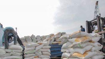 小麦生产商抱怨Permiks Fortikian Menipis Stok,贸易部修订Permendag 36/2023