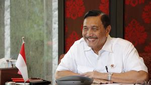 Terungkap, Luhut Jabat Ketua Dewan Pembina Apdesi yang Gelorakan Jokowi 3 Periode