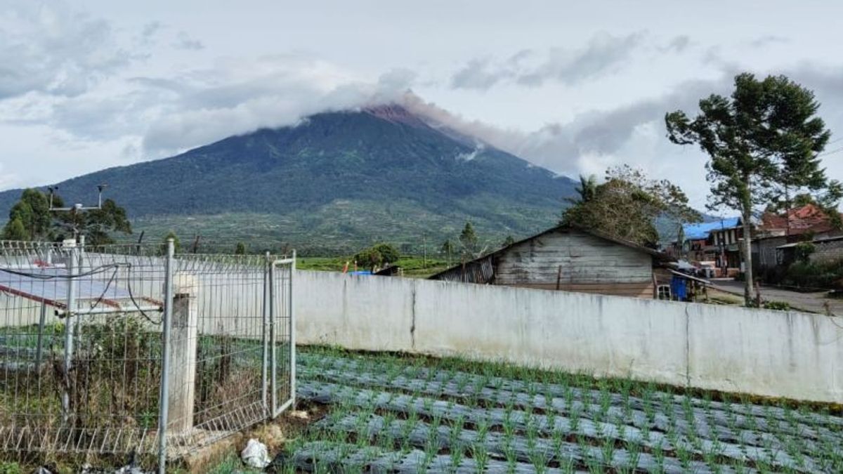 Aktivitas Gunung Kerinci Meningkat, Warga Kayu Aro Jambi Diminta Wajib Gunakan Masker Saat Beraktivitas