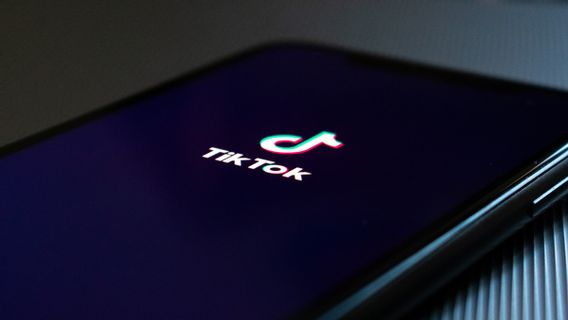 TikTok Pirates Top Disney Officers To Become The New CEO Of Its Company