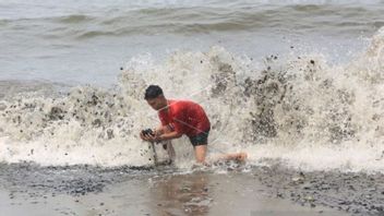 DLHK Klaim Warga Terima Rp50 Ribu per Karung Bila Bersihkan Batu Bara di Pantai Aceh Barat