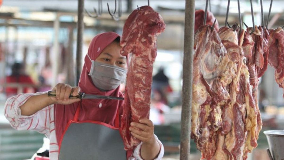 Stok Daging Sapi dan Kerbau Kurang Jelang Ramadan dan Idulfitri, Badan Pangan Minta ID FOOD dan Bulog Percepat Impor