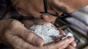 Ramai Beras Oplosan, Pemerintah Ungkap Cara Membedakannya