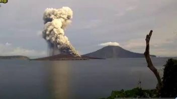 Anak كراكاتو ثوران، وكالة الجيولوجية يذكر الحفاظ على مسافة 2 كم من فوهة البركان