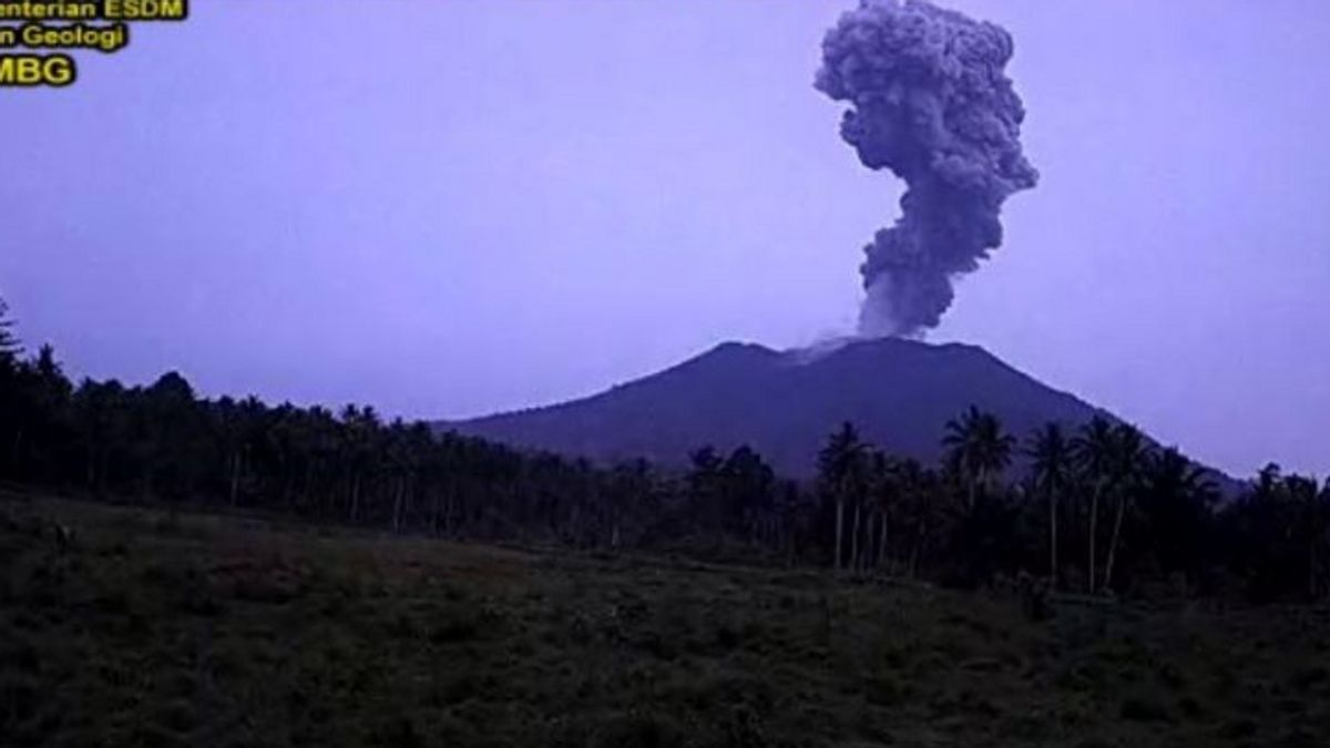 Mount Ibu Erupts, Vomits Abu As High As 600 Meters