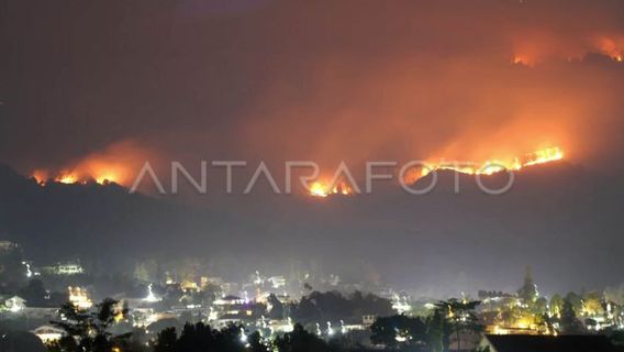 Mount Arjuno Forest And Land Fires In Batu City Reach 916 Hectares