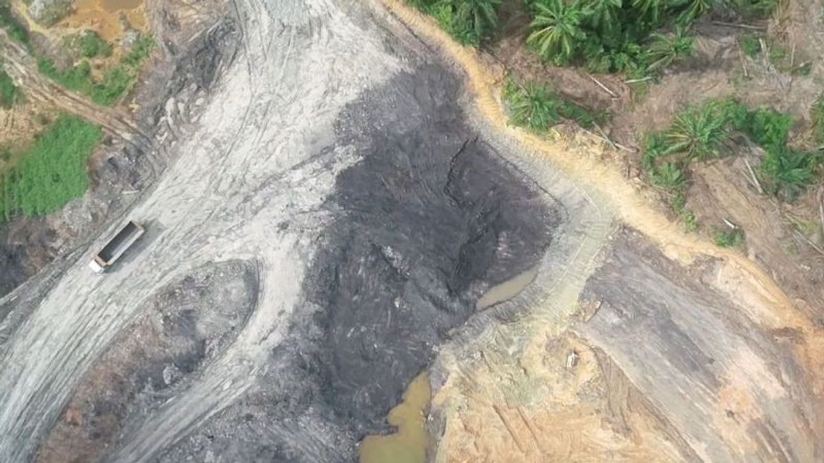    Kemenhut Tangkap 4 Penambang Batu Bara Ilegal di CA Teluk Adang Kaltim