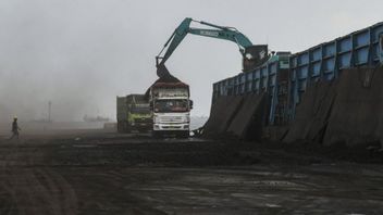 外国人投資家はDMEインドネシアプロジェクトに興味がない