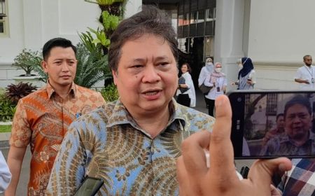 Airlangga Sebut RI Punya Peluang Kembangkan Ekonomi Hijau